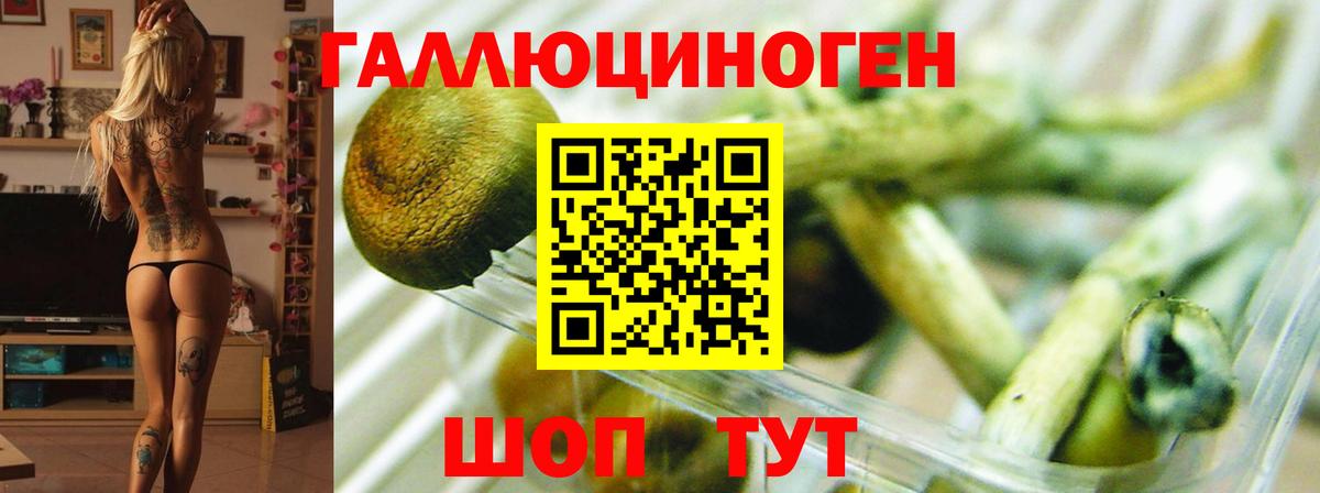 Галлюциногенные грибы Magic Shrooms  Галлюциногенные грибы мухоморы  Вход с VPN  Гуково 